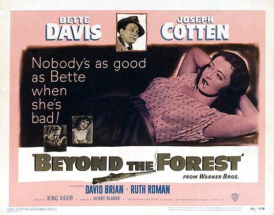 Beyond the Forest Movie Poster