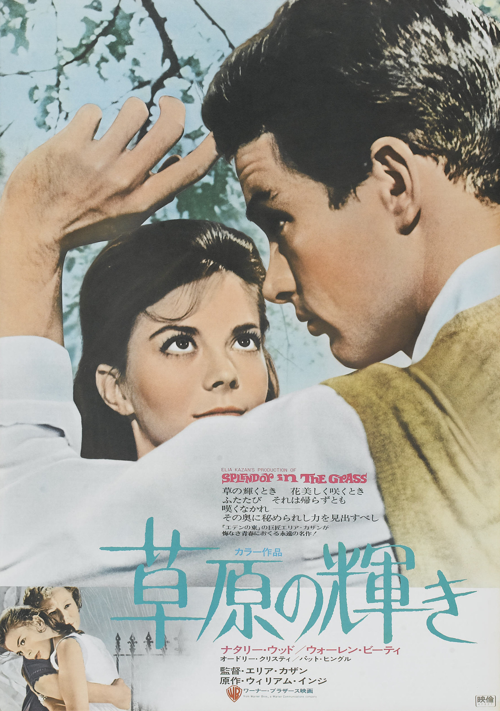 Mega Sized Movie Poster Image for Splendor in the Grass (#2 of 4)