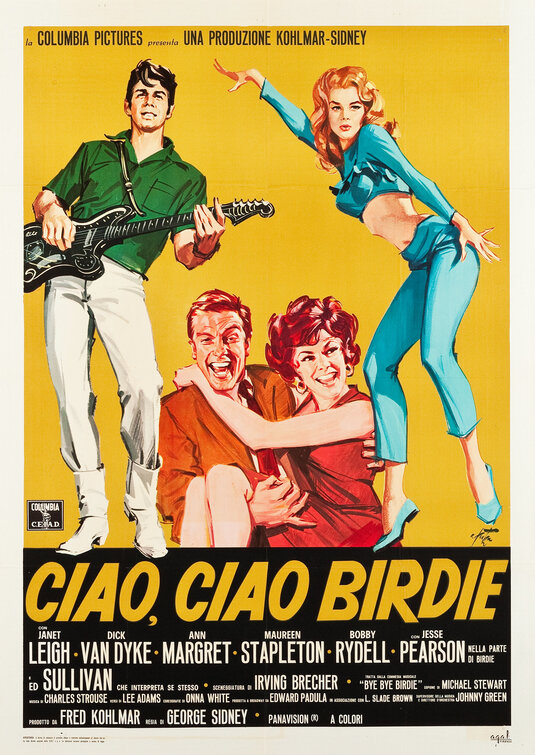 Bye Bye Birdie Movie Poster