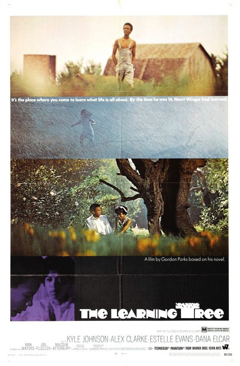 The Learning Tree Movie Poster