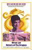 The Way of the Dragon (1972) Thumbnail