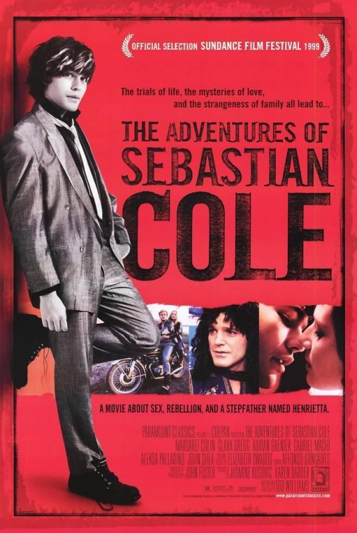 The Adventures of Sebastian Cole Movie Poster