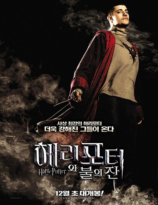 Harry Potter and the Goblet of Fire Movie Poster