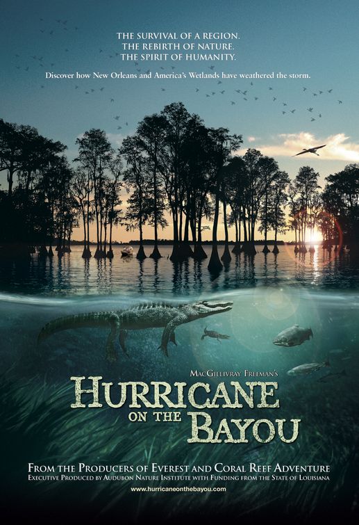 Hurricane on the Bayou Movie Poster