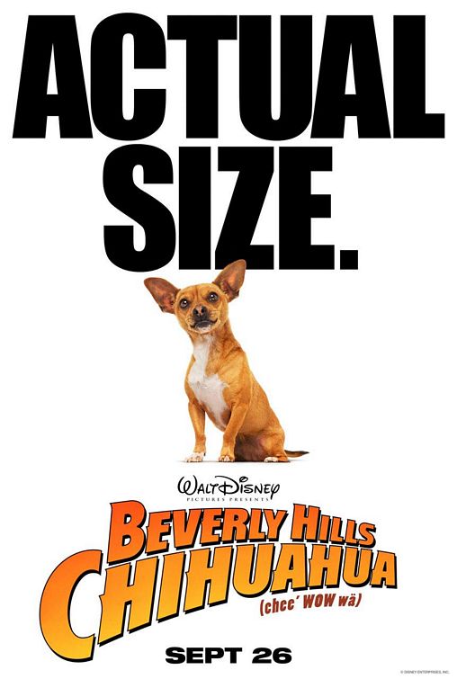 Beverly Hills Chihuahua Movie Poster