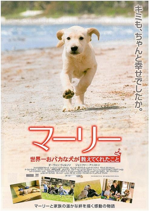 Marley & Me Movie Poster