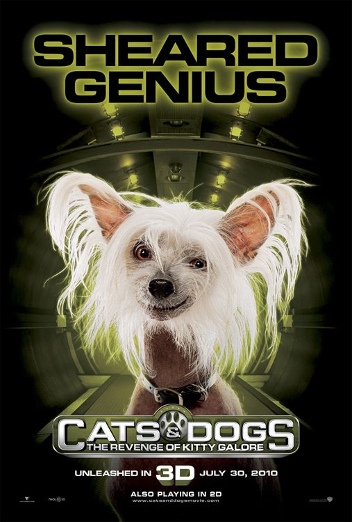 Cats & Dogs: The Revenge of Kitty Galore Movie Poster