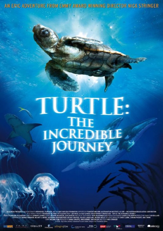 Turtle: The Incredible Journey Movie Poster