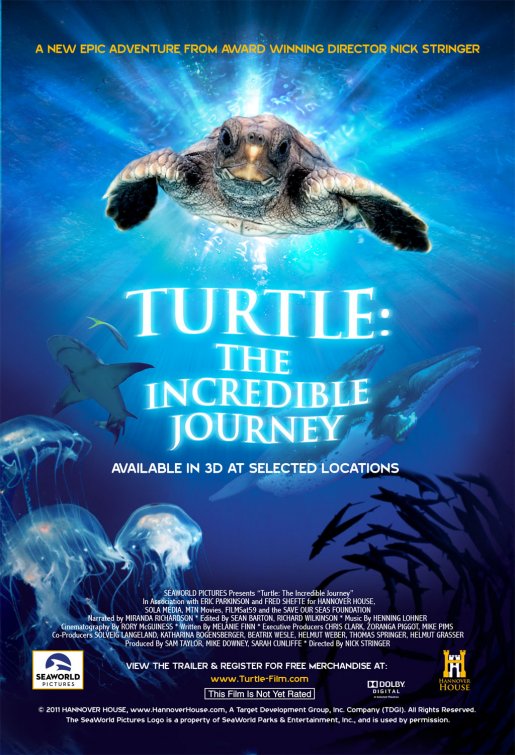 Turtle: The Incredible Journey Movie Poster