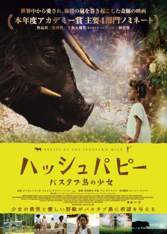 Beasts of the Southern Wild Movie Poster