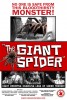 The Giant Spider (2013) Thumbnail