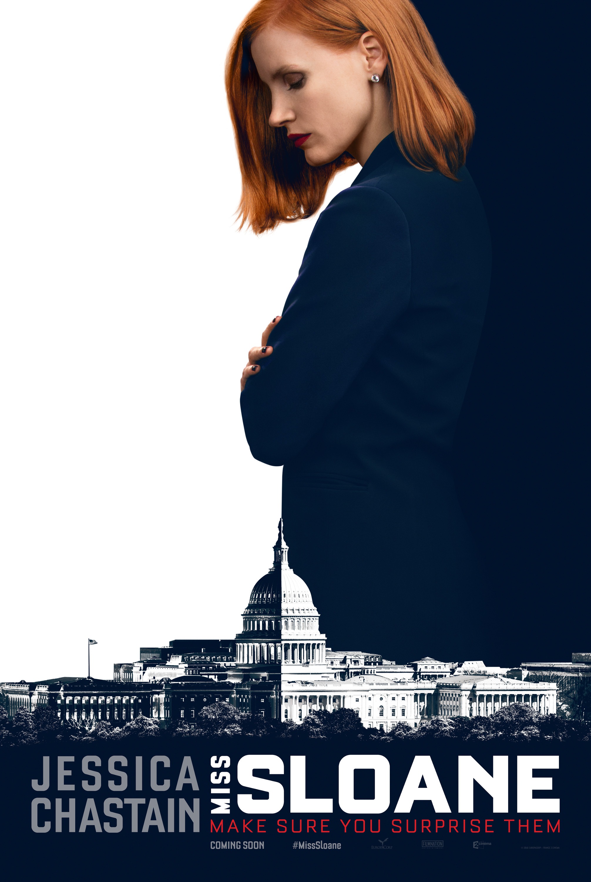 Mega Sized Movie Poster Image for Miss Sloane (#1 of 3)