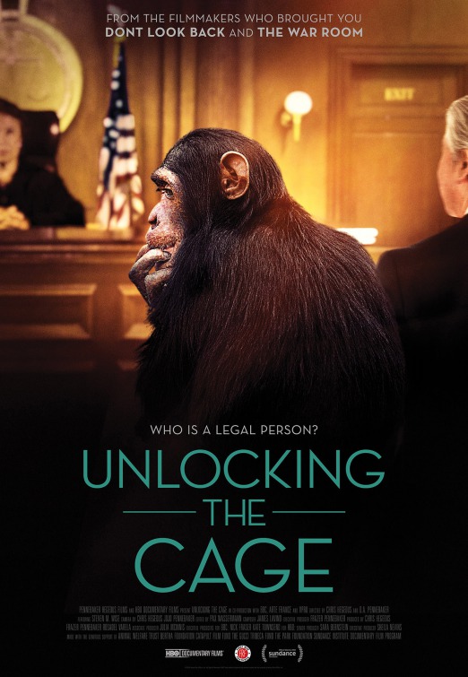 Unlocking the Cage Movie Poster