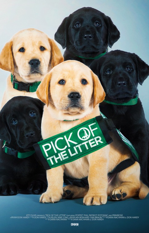 Pick of the Litter Movie Poster