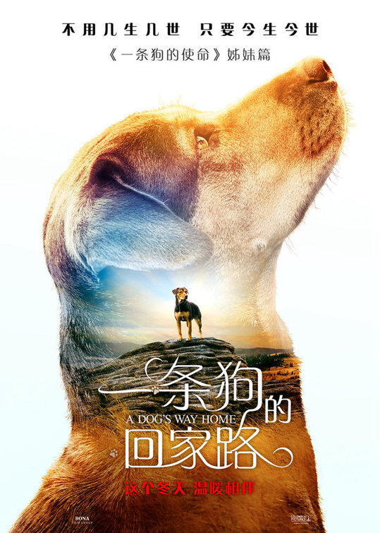 A Dog's Way Home Movie Poster