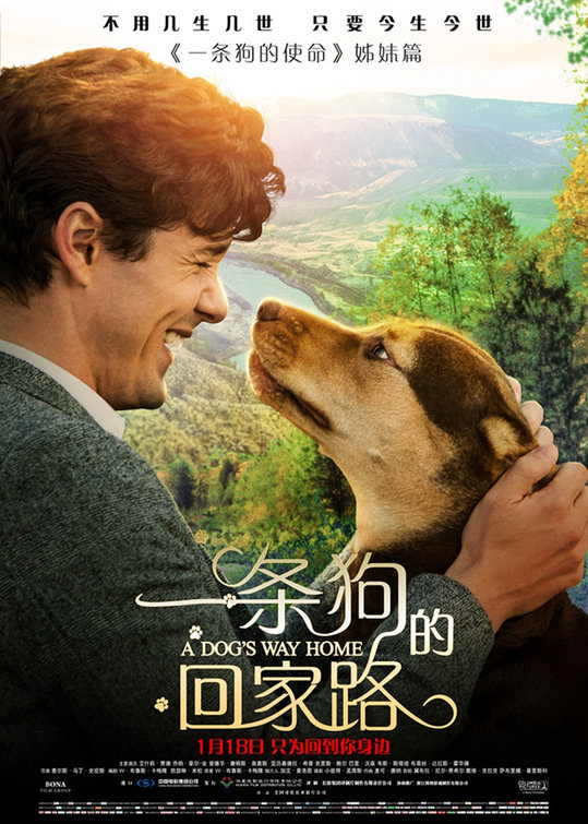 A Dog's Way Home Movie Poster