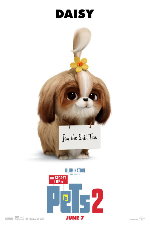 The Secret Life of Pets 2 Movie Poster