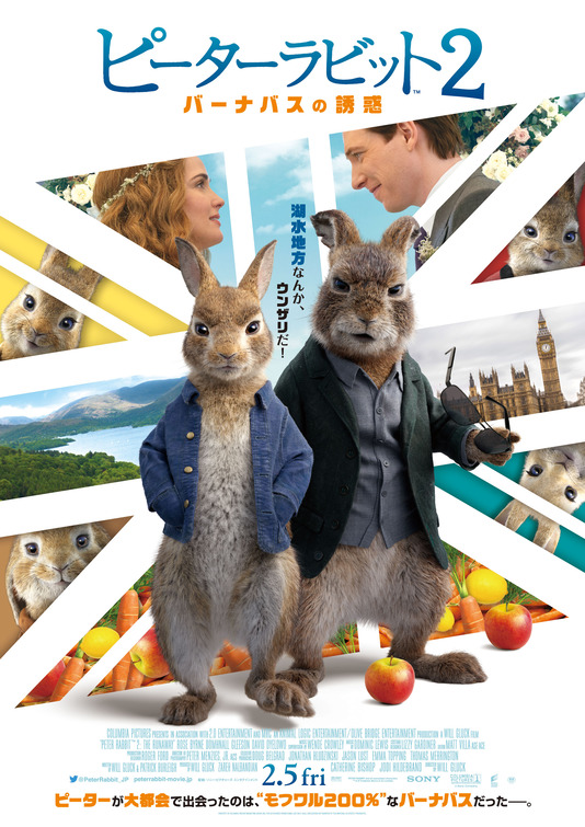 Peter Rabbit 2 Movie Poster