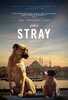 Stray (2021) Thumbnail