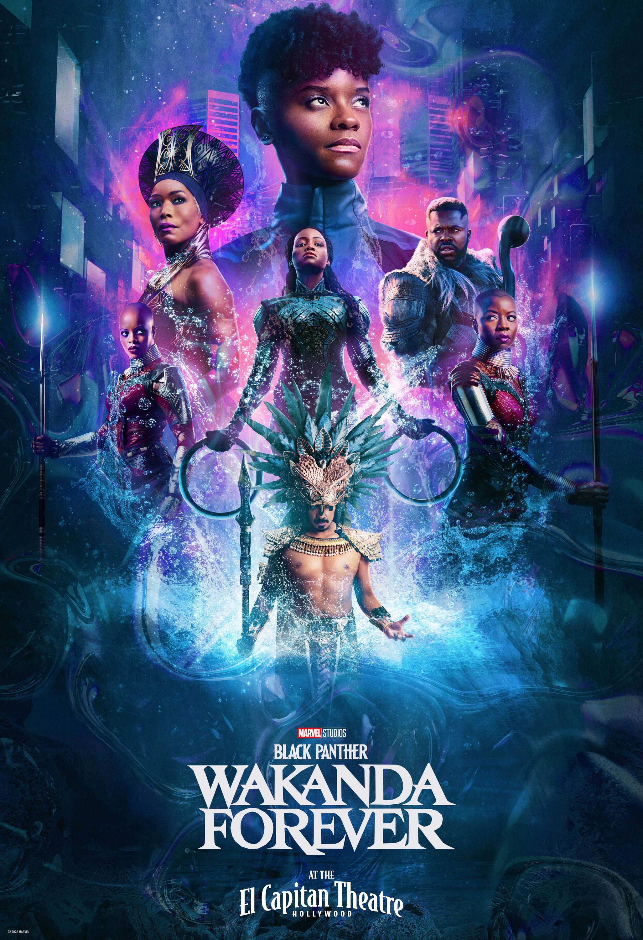 Mega Sized Movie Poster Image for Black Panther: Wakanda Forever (#28 of 32)