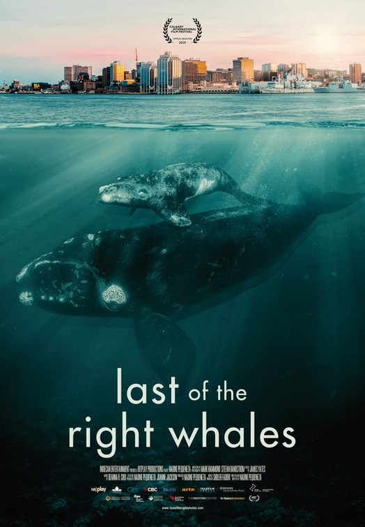 Last of the Right Whales Movie Poster