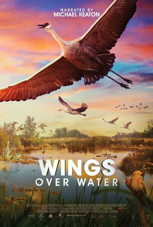 Wings Over Water Movie Poster