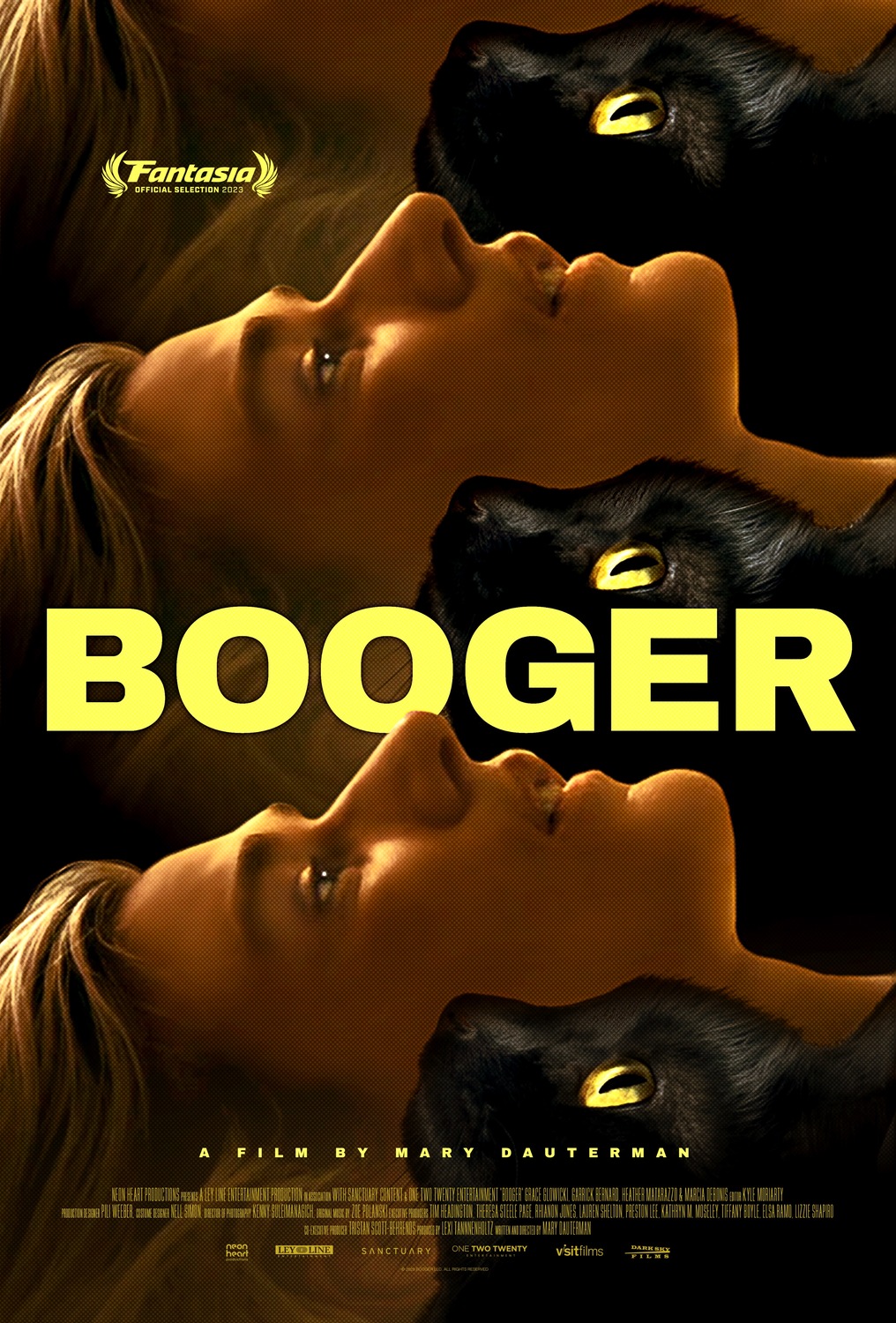 Extra Large Movie Poster Image for Booger 