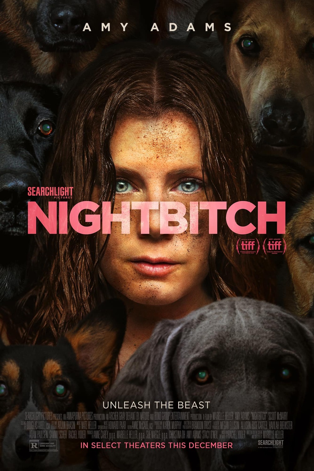 Extra Large Movie Poster Image for Nightbitch (#2 of 2)