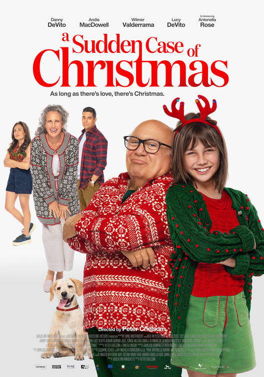 A Sudden Case of Christmas Movie Poster