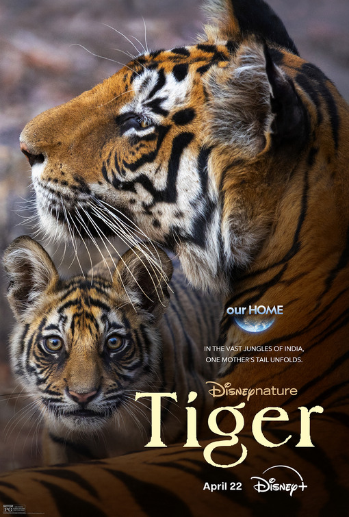 Tiger Movie Poster