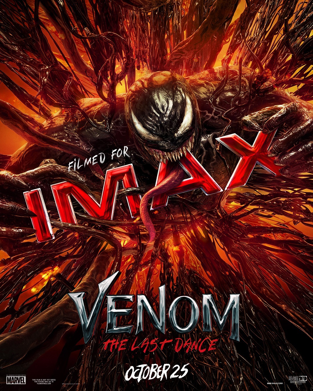 Extra Large Movie Poster Image for Venom: The Last Dance (#4 of 27)