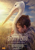 Storm Boy (2019) Thumbnail