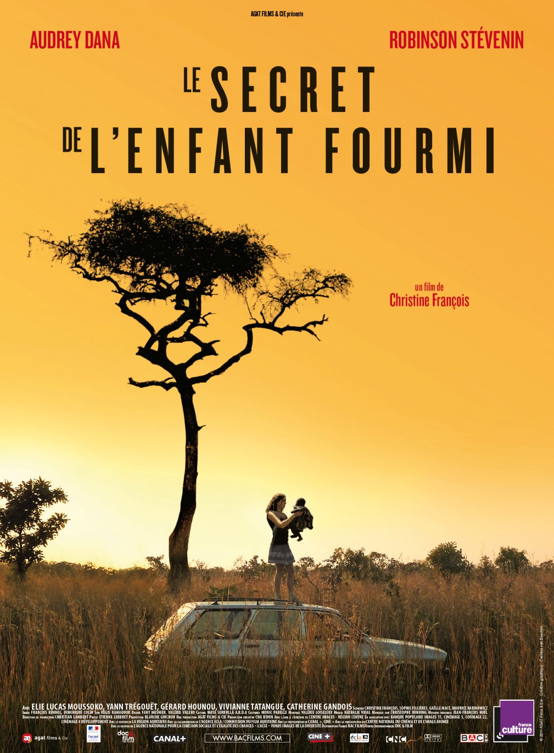 Extra Large Movie Poster Image for Le secret de l'enfant-fourmi 