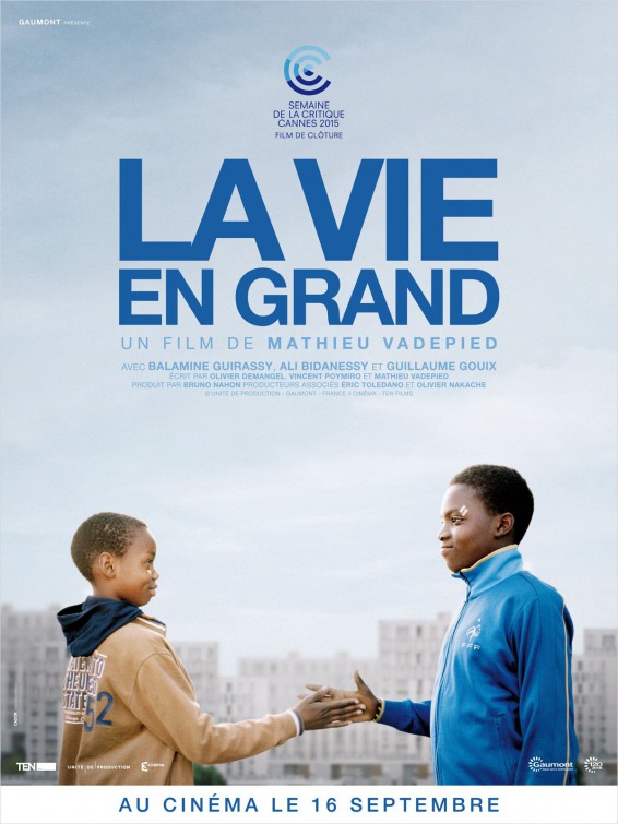 La vie en grand Movie Poster