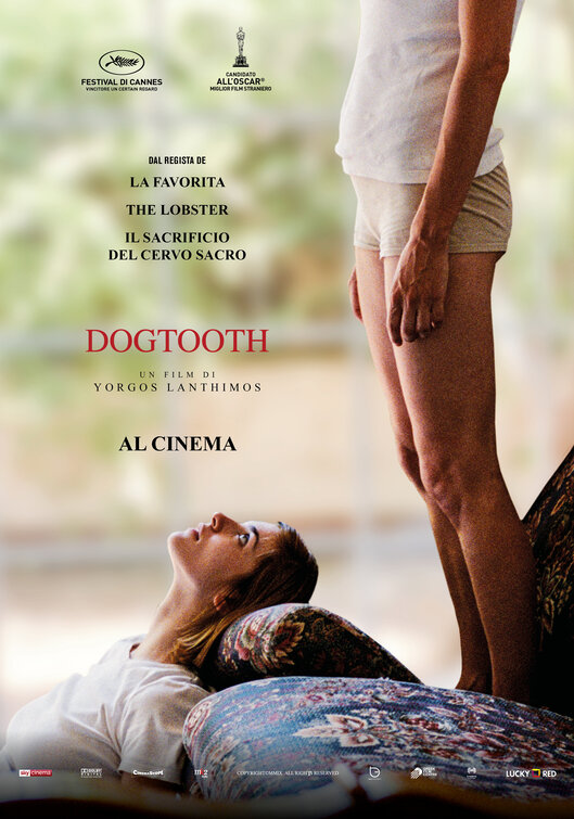 Dogtooth (aka Kynodontas) Movie Poster