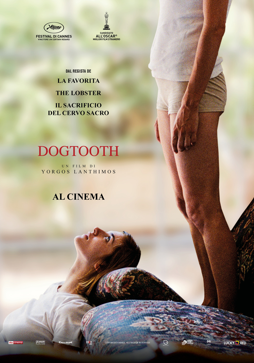 Extra Large Movie Poster Image for Dogtooth (aka Kynodontas) (#7 of 9)