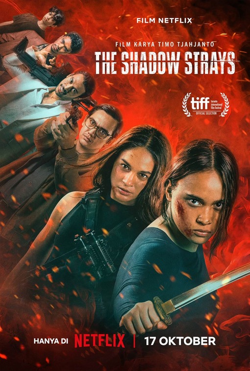 The Shadow Strays Movie Poster