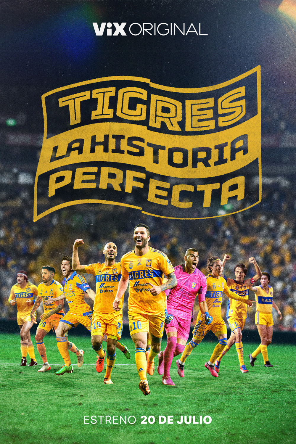 Extra Large TV Poster Image for Tigres: La historia perfecta 