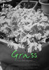 Grass (2018) Thumbnail