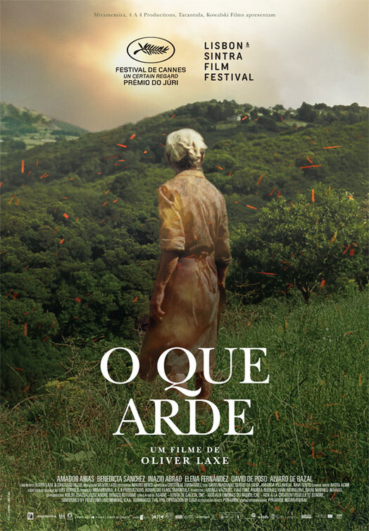 O que arde Movie Poster