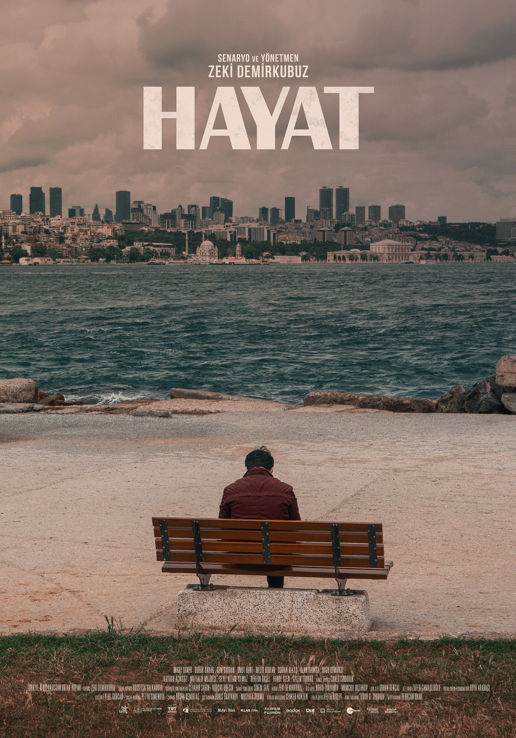 Mega Sized Movie Poster Image for Hayat (#3 of 3)