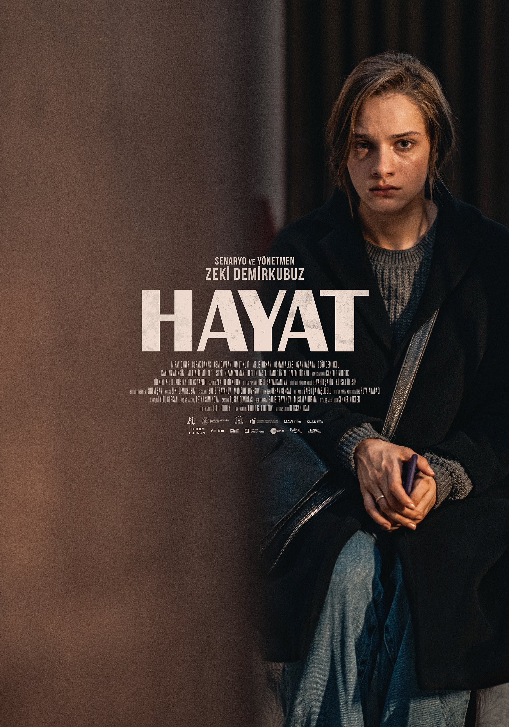 Mega Sized Movie Poster Image for Hayat (#1 of 3)