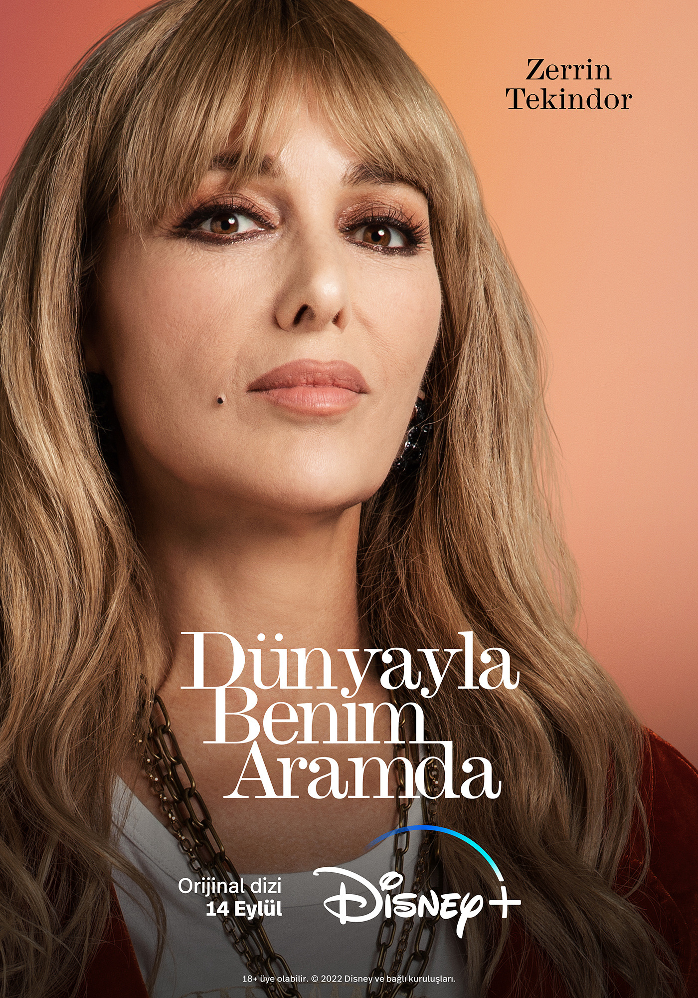 Mega Sized TV Poster Image for Dünyayla Benim Aramda (#8 of 11)