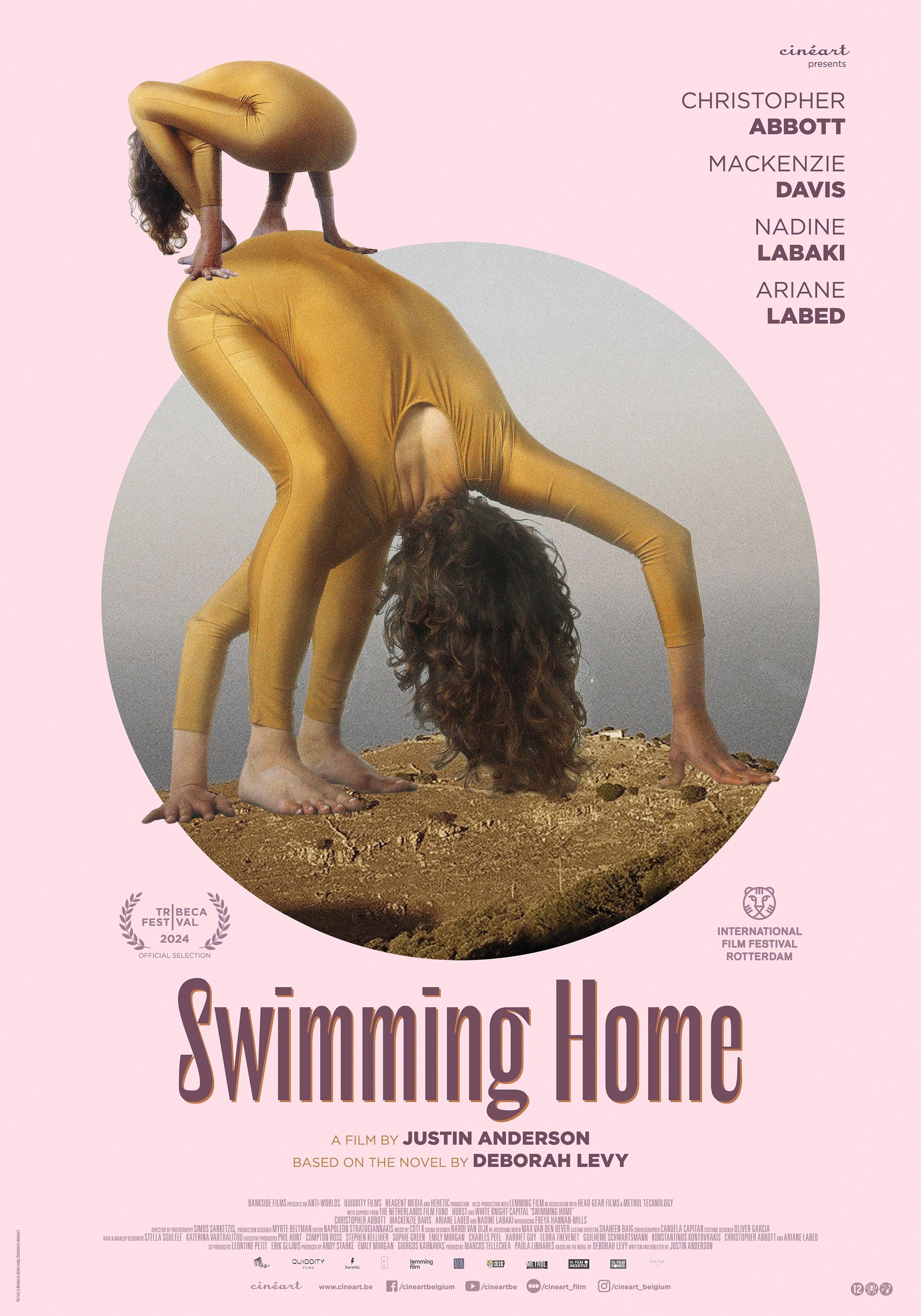 Mega Sized Movie Poster Image for Swimming Home 