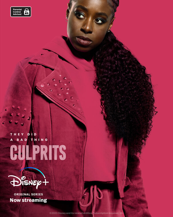 Culprits Movie Poster