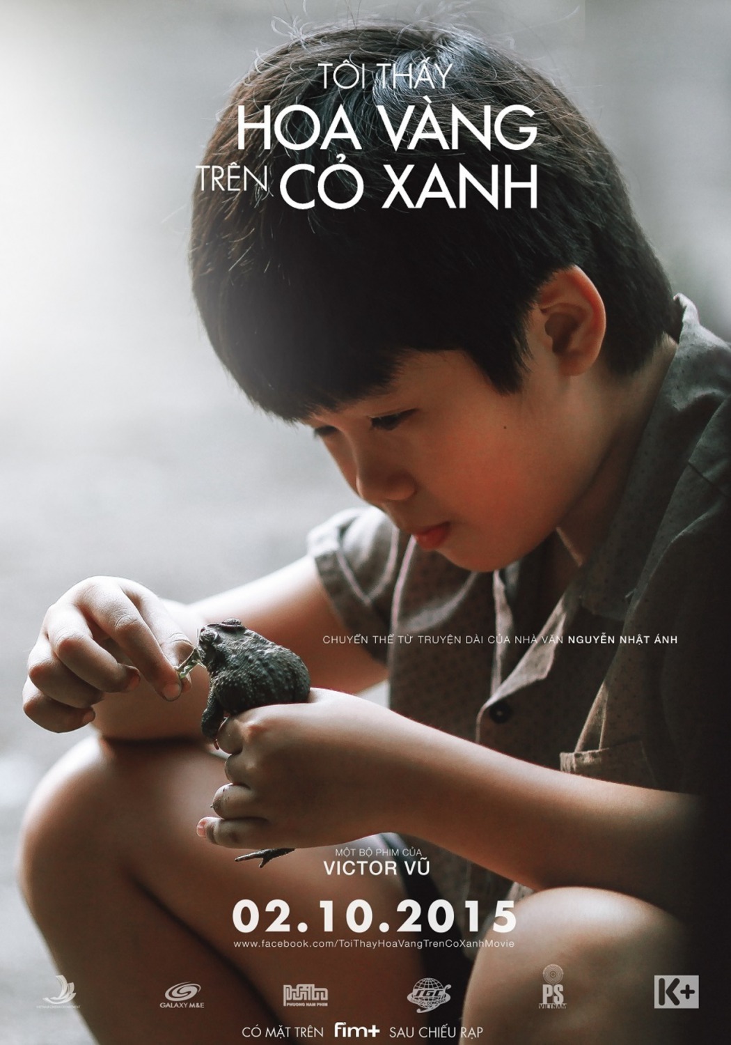 Extra Large Movie Poster Image for Tôi thay hoa vàng trên co xanh (#3 of 5)