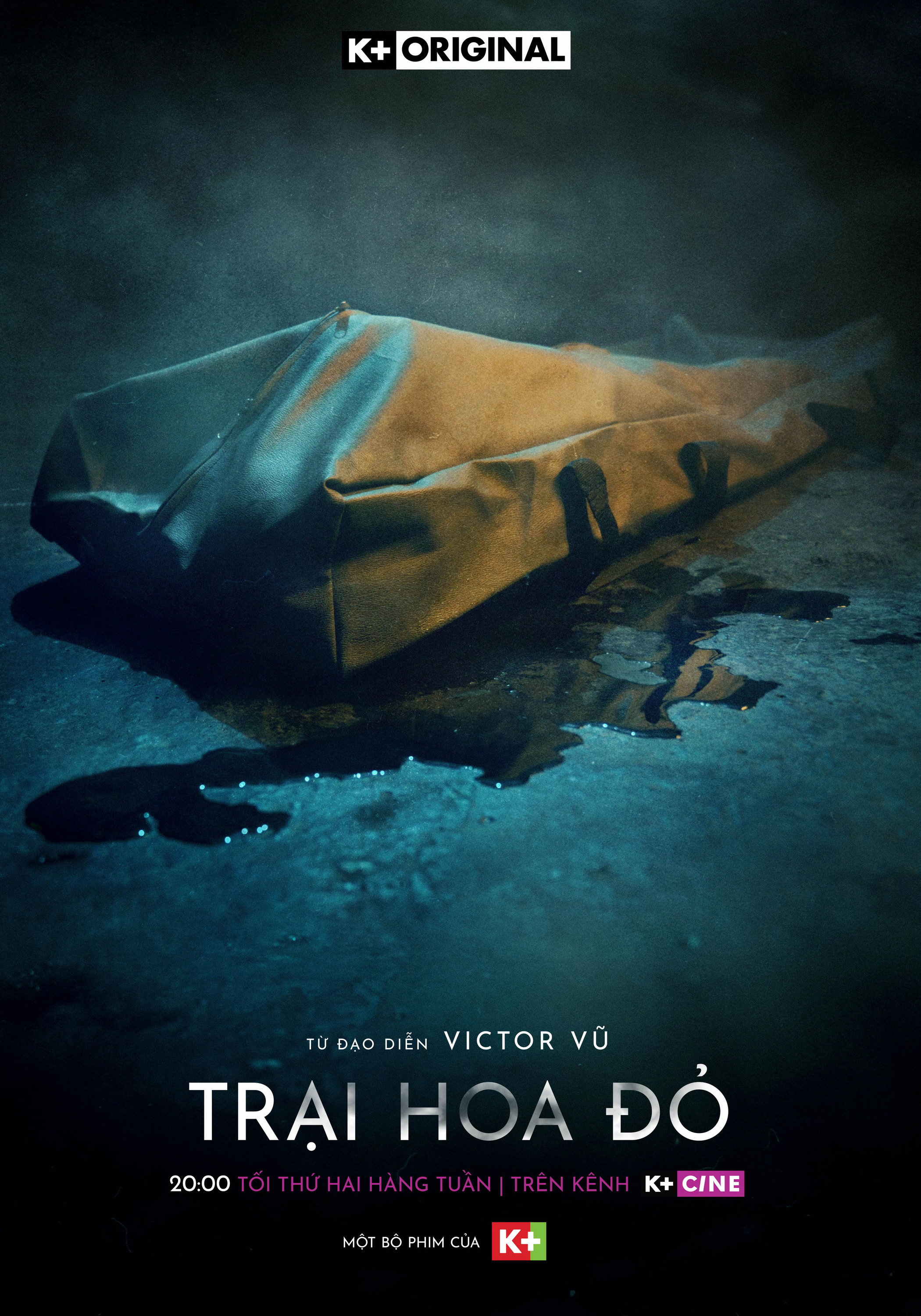 Mega Sized TV Poster Image for Trai Hoa Do (#8 of 13)