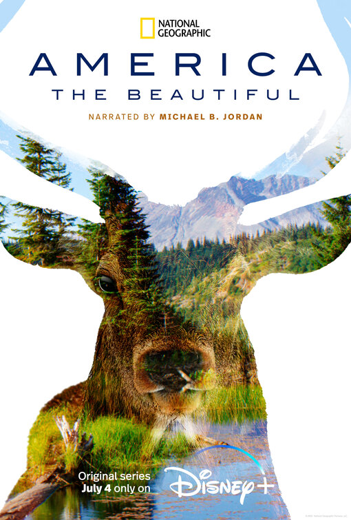 America the Beautiful Movie Poster