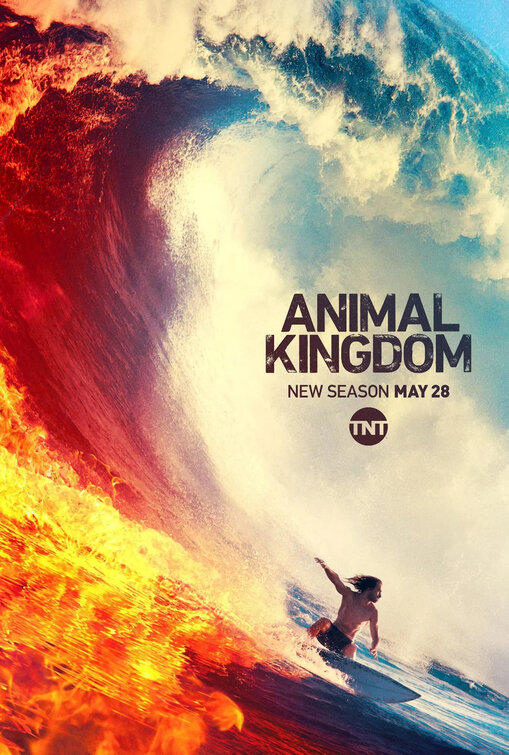 Animal Kingdom Movie Poster