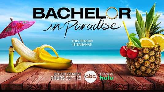 Bachelor in Paradise Movie Poster